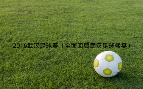 2016武汉足球赛（全面回顾武汉足球盛宴）