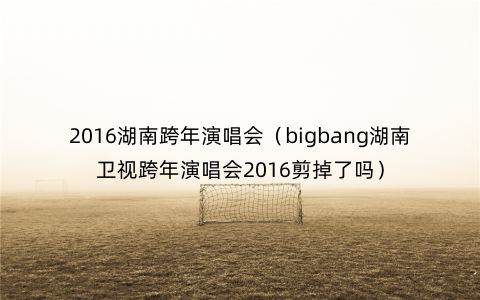 2016湖南跨年演唱会（bigbang湖南卫视跨年演唱会2016剪掉了吗）