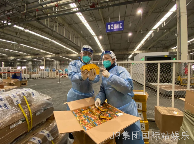 侵权宝可梦、孩之宝,一大批玩具被海关扣了